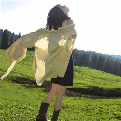 钢铁少女团2